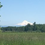 Discover Loop running route