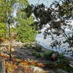 Vancouver Waterfront_beach1