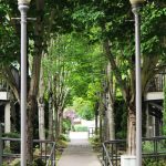 Vancouver Waterfront_side trail