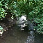 burnt bridge creek trail