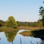 salmon creek greenway trail