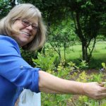 wildlife botanical garden blueberrypicker