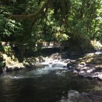 Cedar Creek Grist Mill 44