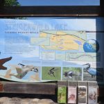 Steigerwald Lake Refuge sign