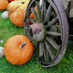 pumpkins and wagon