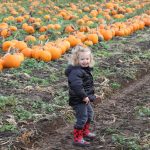 vancouver pumpkin patch