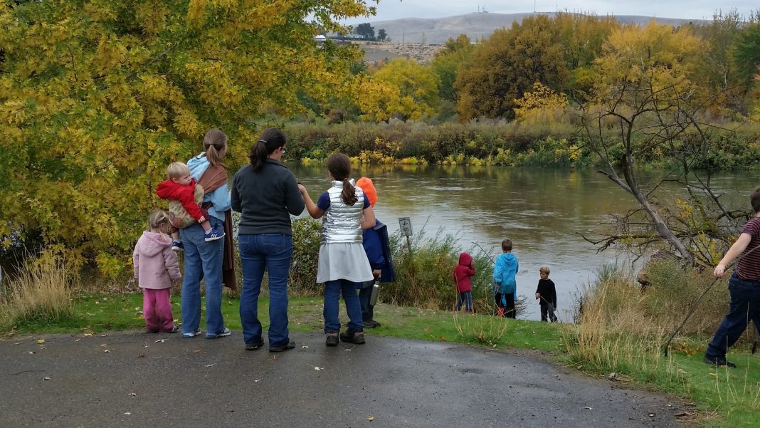 Things to do in the Tri Cities Chamna Natural Preserve