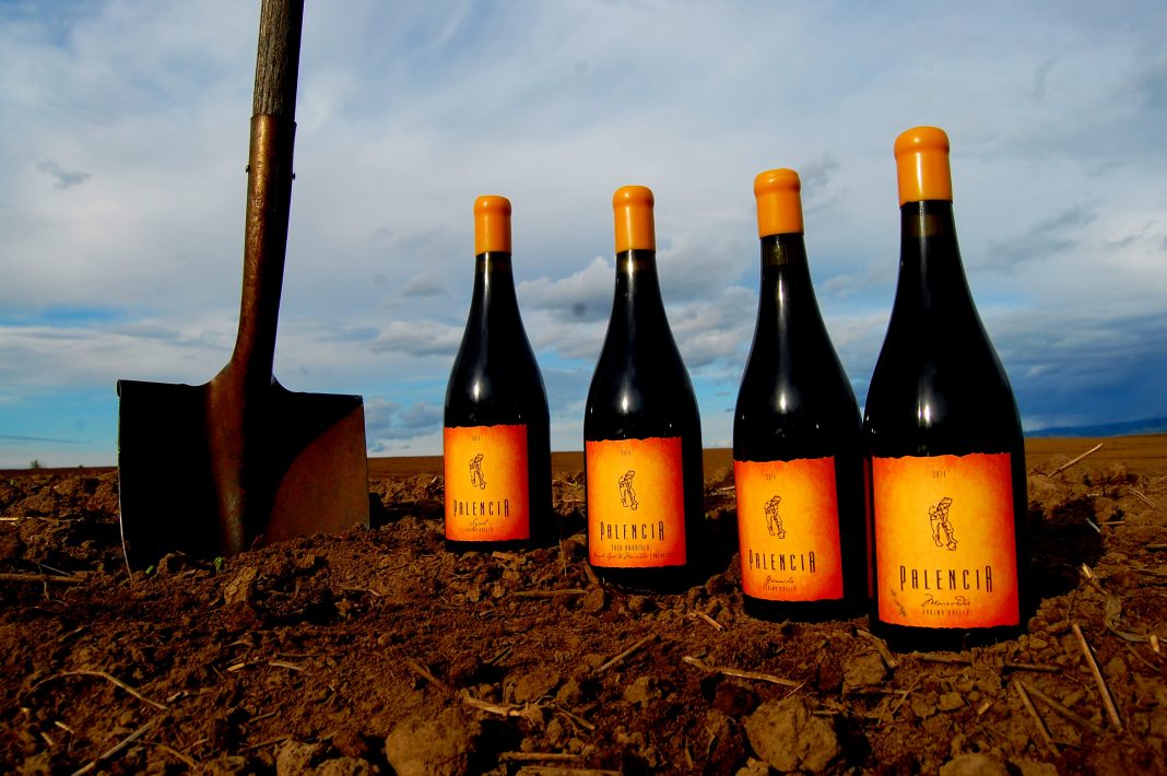 Walla Walla Wineries Palencia Wine Company