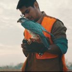 Outdoor Activities for Children in the Tri-Cities Falconry School