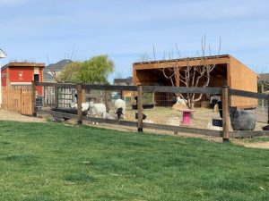 Outdoor Activities Tri-Cities