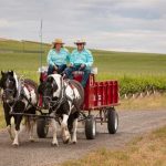 Outdoor Activities Tri-Cities