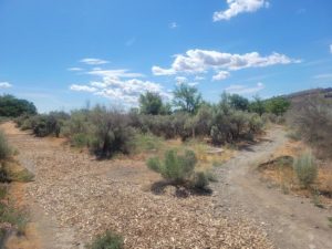 outdoor activities Tri-Cities