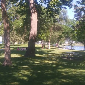 Tri-Cities swimming holes