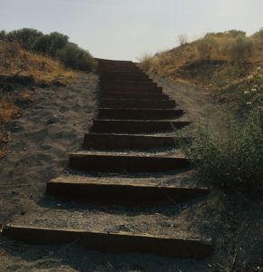 Tri-Cities Instagram