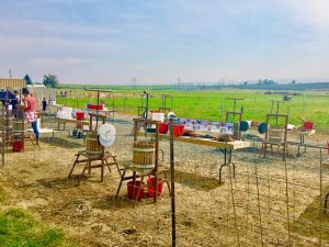 Bill's Berry Farm