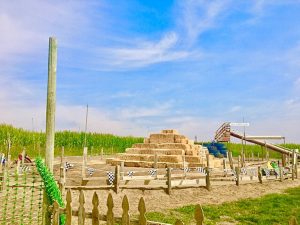 Bill's Berry Farm