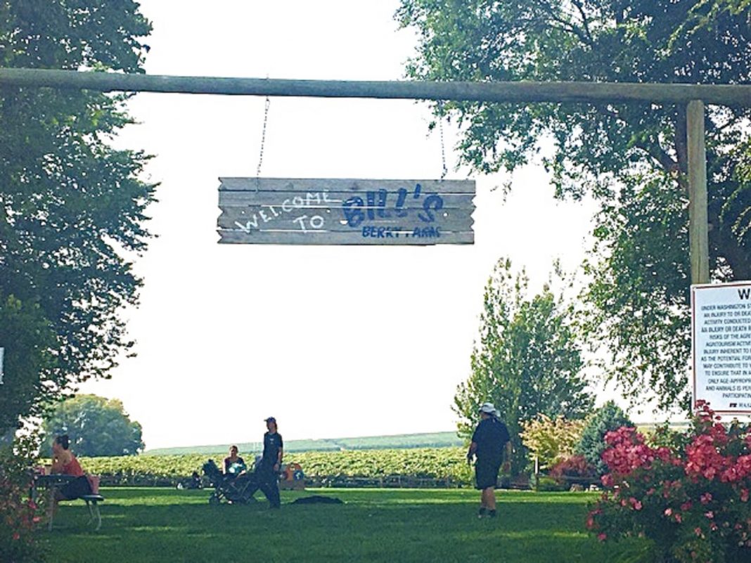 Bill's Berry Farm