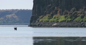 Columbia National Wildlife Refuge