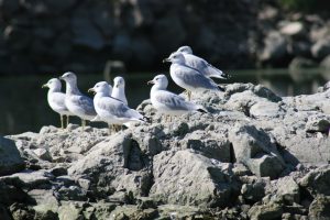 Columbia National Wildlife Refuge