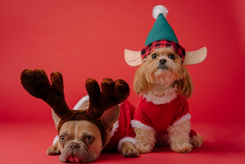 presents in Tri-Cities