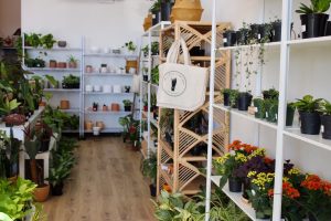 The Little Plant Shop Pasco