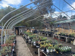 spring activities Tri-Cities