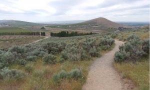 scenic hiking trails Tri-Cities