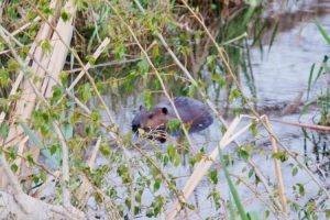 nature reserves Tri-Cities