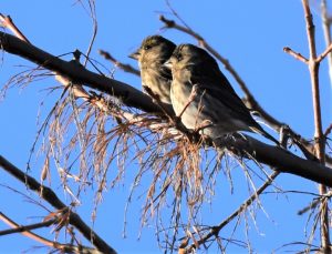 nature reserves Tri-Cities