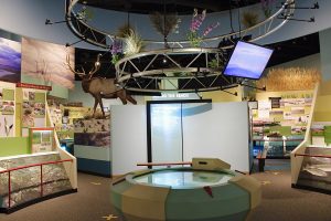 REACH Museum