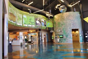 REACH Museum