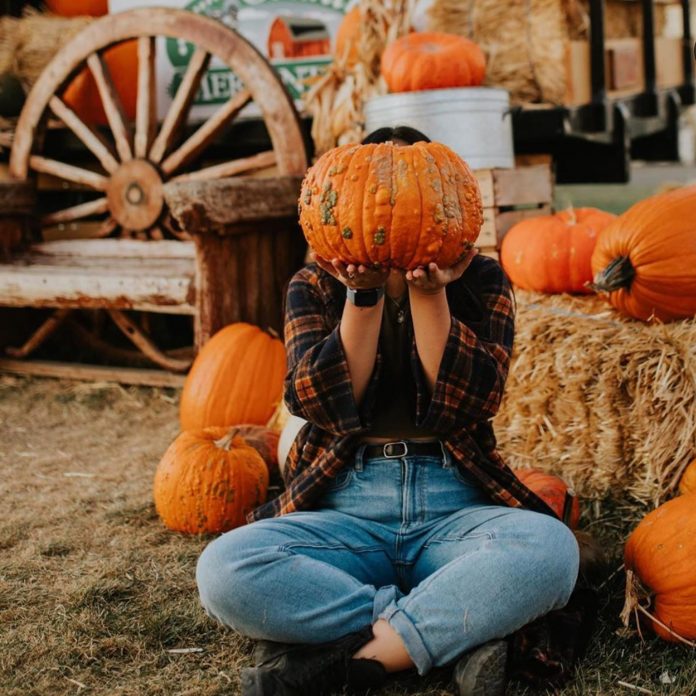 Tri-Cities Pumpkin Patches