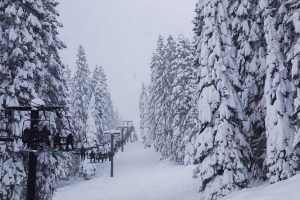 Snow fun Tri-Cities