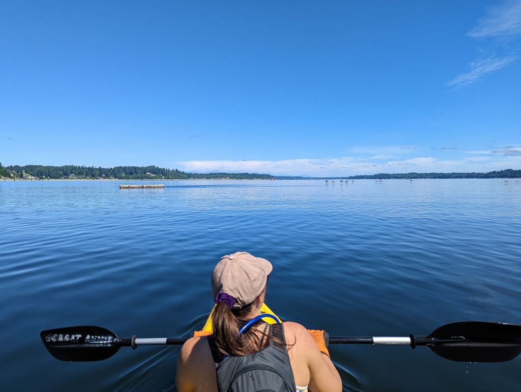 olympia kayak rentals