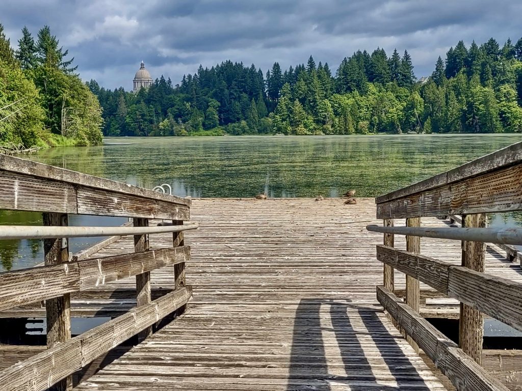 Olympia Salmon Runs