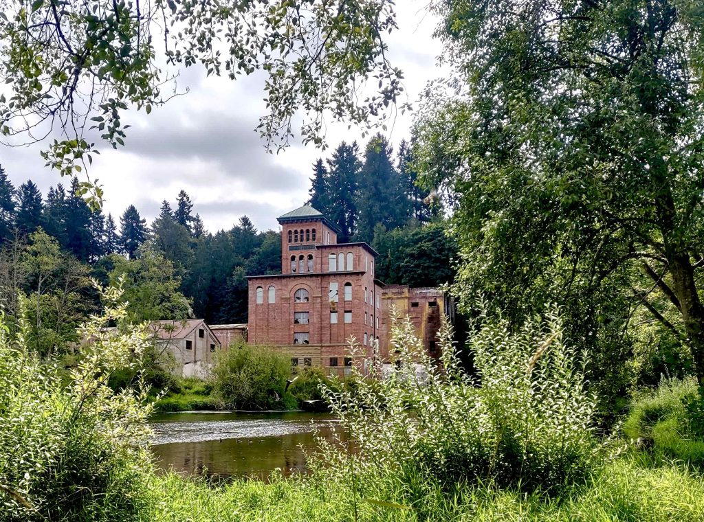 Olympia Salmon Runs