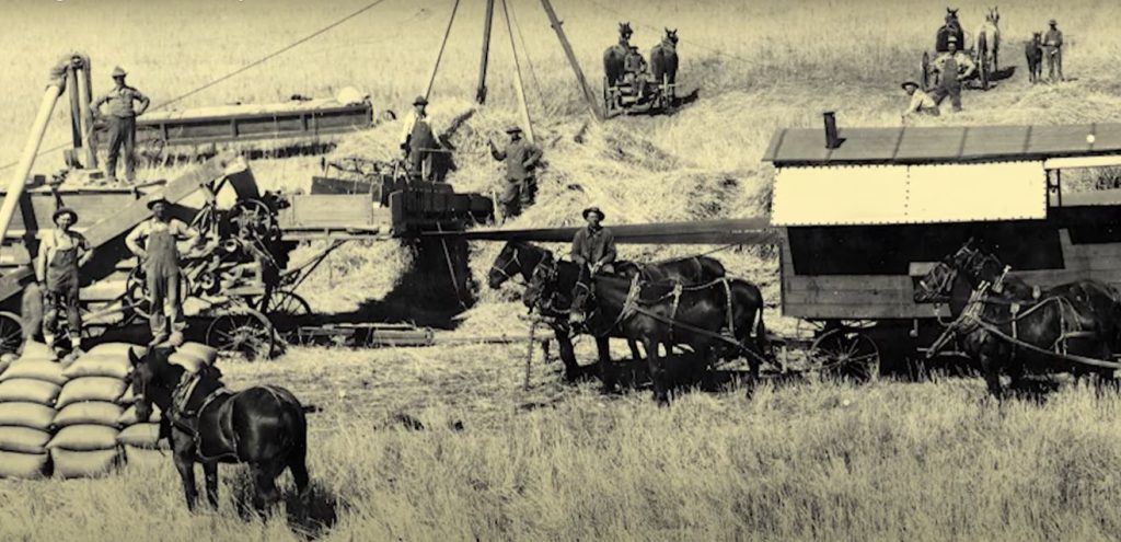 Tri Cities Agricultural
