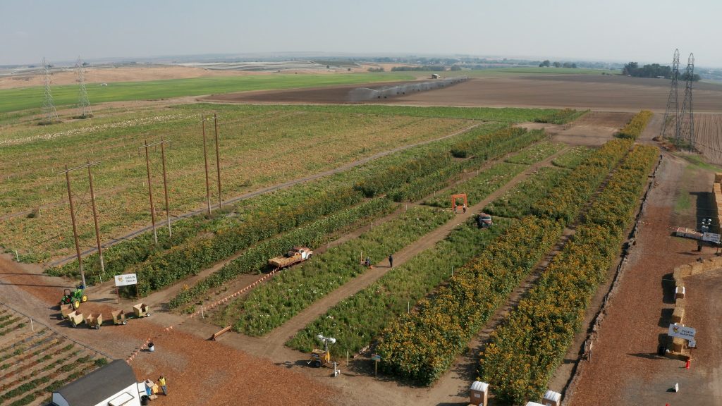 Tri Cities Agricultural