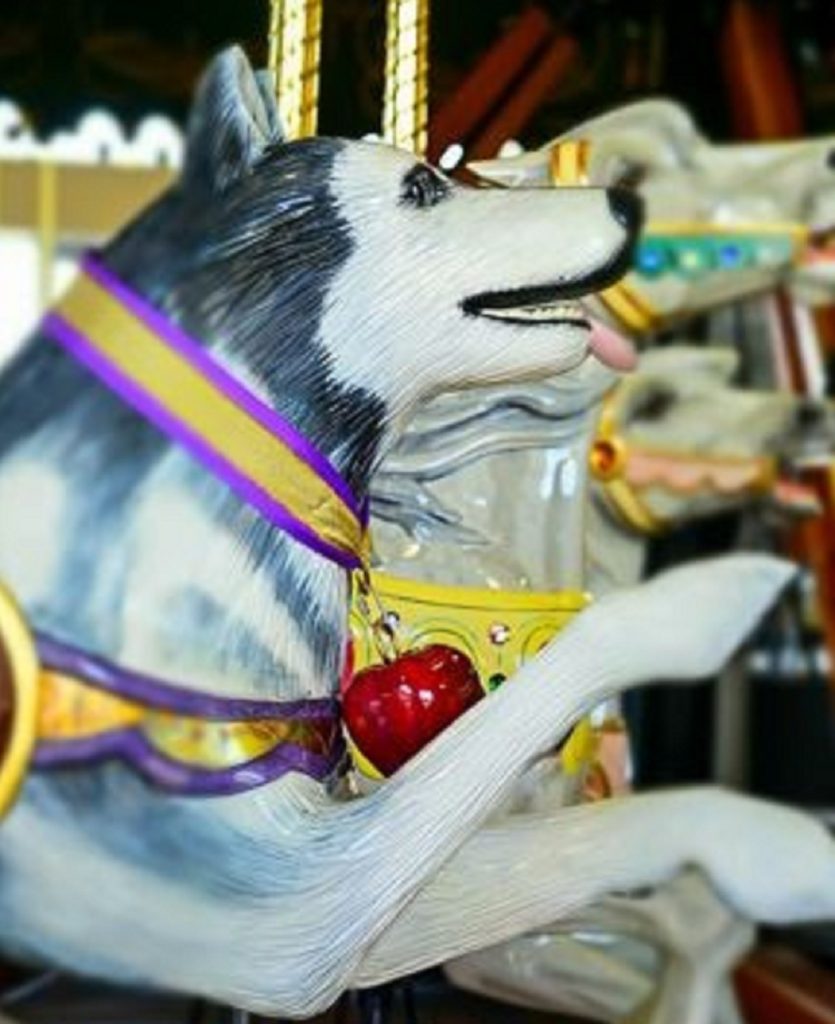 GESA Carousel of Dreams