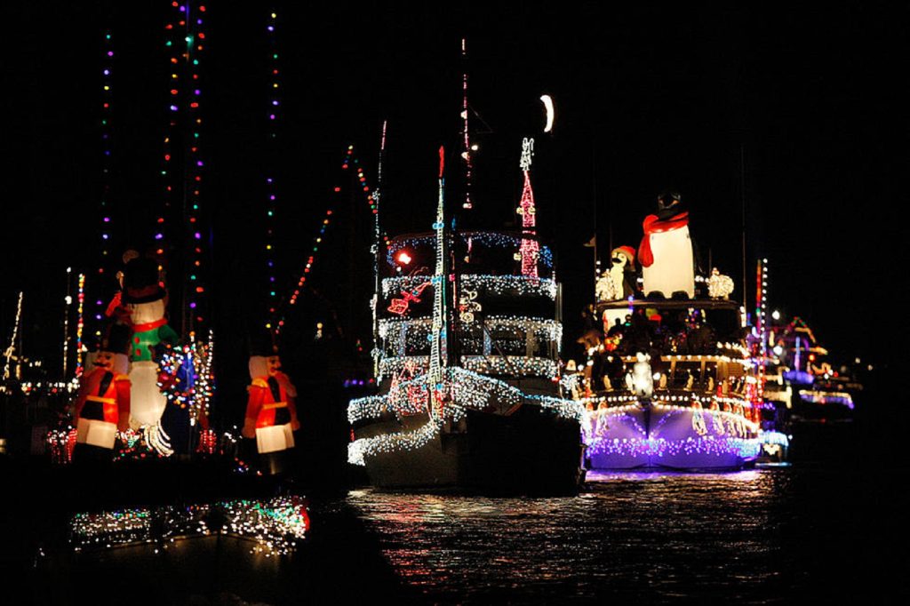 Tri Cities Holiday Lights